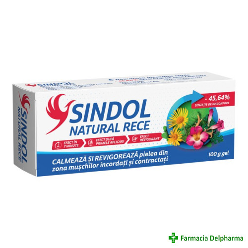 Sindol Natural Rece gel x 100 g, Fiterman