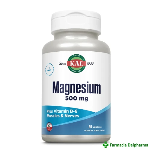 Magnesium 500 mg Kal x 60 caps., Secom